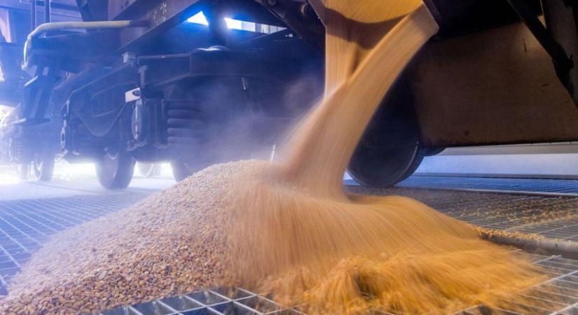 A Romániába irányuló ukrán gabonaexport felfüggesztését kezdeményezik a román szociáldemokraták