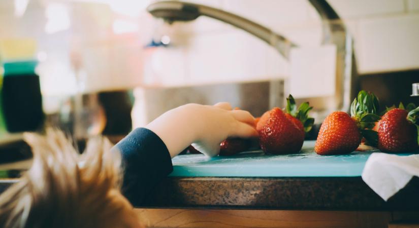 Íme 8 étel, ami segíthet a gyerek agyi fejlődésében