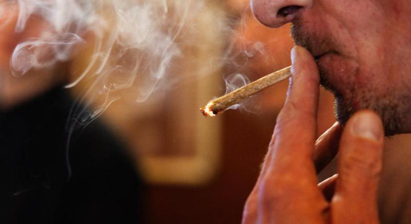 A hollandok 60 százaléka támogatja a marihuána teljes legalizálását