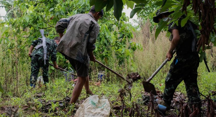 Mianmarban tavaly megháromszorozódott a gyalogsági aknák civil áldozatainak száma