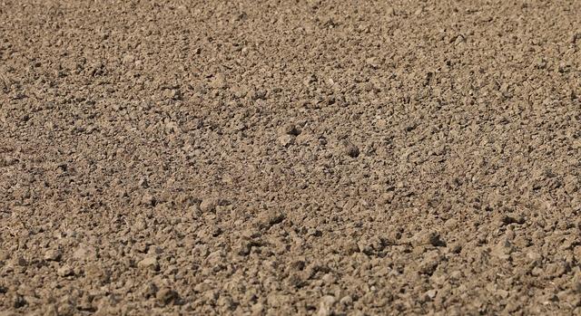 Agrometeorológia: az Alföldön száraz talaj várja a vetést