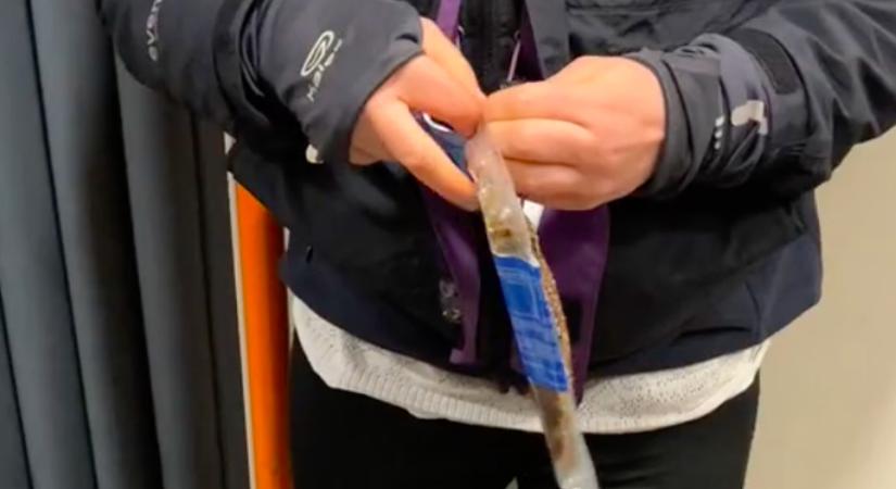 Gyomorforgató felvétel a metróban: bizarr ételt vett elő a srác - Videó