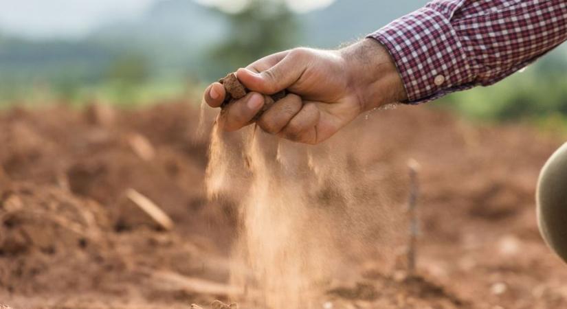 Kritikusan száraz talajba kell vetniük a gazdáknak Békésben