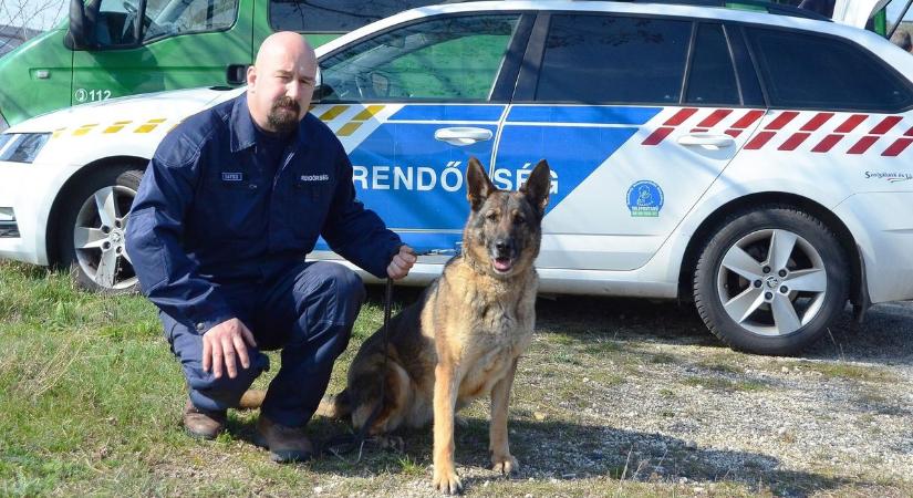Grillcsirkében talált drogot a rendőr és kutyája