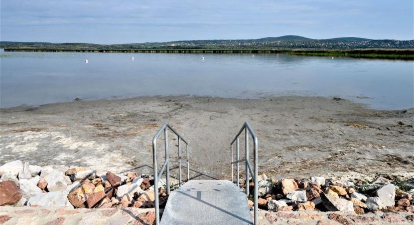 Zöld vízre és haltetemekre panaszkodnak a Velencei-tónál