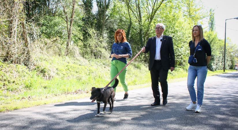 Balogh László polgármester kutyasétáltatással hívta fel a figyelmet a felelős állattartásra