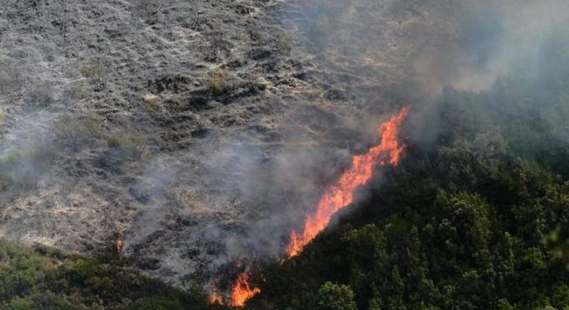 Óriási erdőtűz pusztít Kréta szigetén - videó