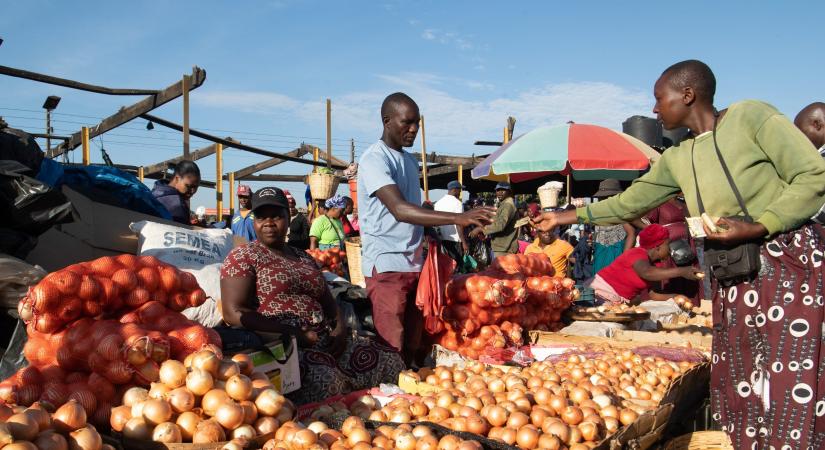 Új fizetőeszközt vezet be a hiperinflációval küzdő Zimbabwe