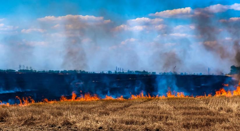 A szabadtéri égetés tilos! - figyelmeztet a katasztrófavédelem