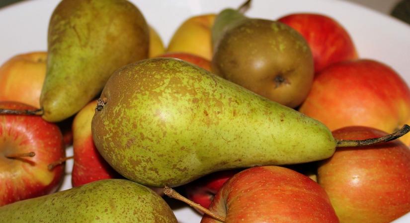 Egyre kevesebb az alma az európai raktárakban