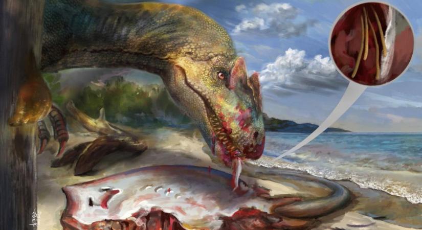 Ez a felfedezés már a Jurassic Parkot idézi: ősi parazitát találtak egy 99 millió éves borostyánba zárva