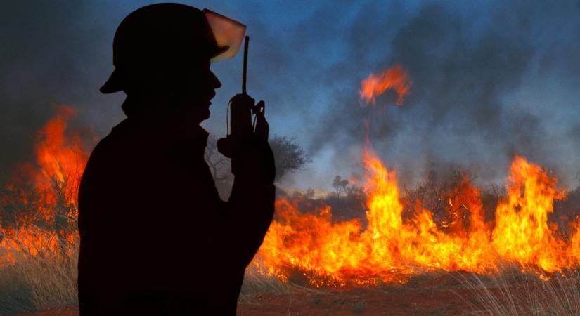 Hatalmas tűz pusztított Budapest XIV. kerületében: videón a rettenetes lángok, a vasút is elesett