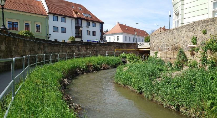 Az egriekkel együtt tisztítja meg az Eger-patakot a Városgondozás