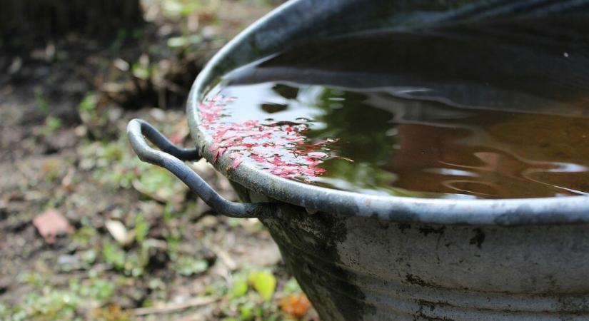 Takarékos és a növényeknek kedvező megoldás az esővízgyűjtő használata