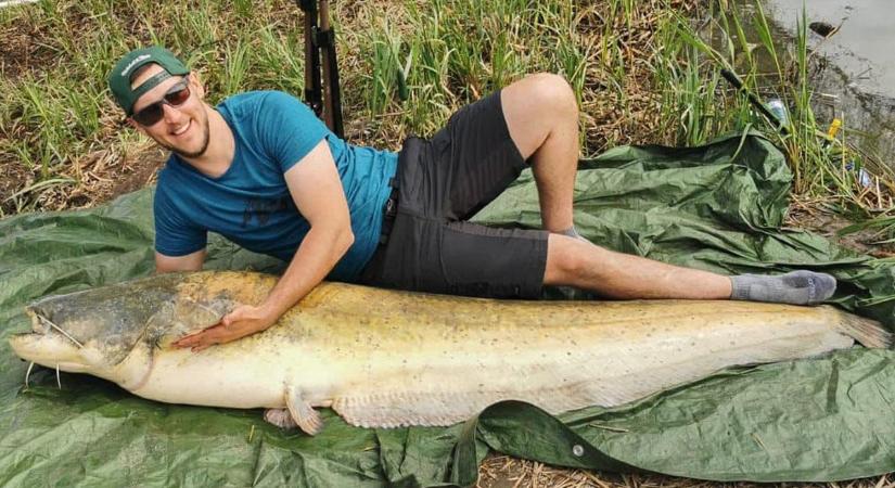 Ember nagyságú hal a horgon - A csaknem kétméteres harcsát visszaengedték a csepregi tóba