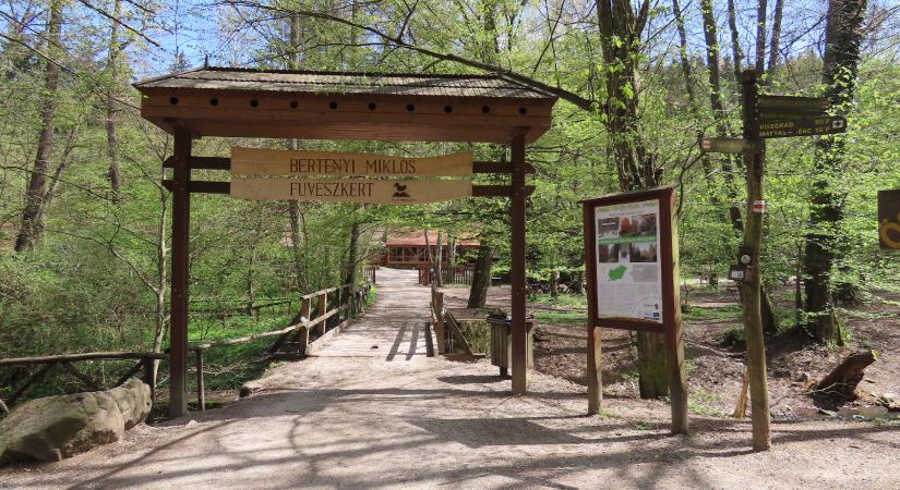 Bertényi Miklós füvészkert: egy alig ismert csodahely a Visegrádi-hegység szívében