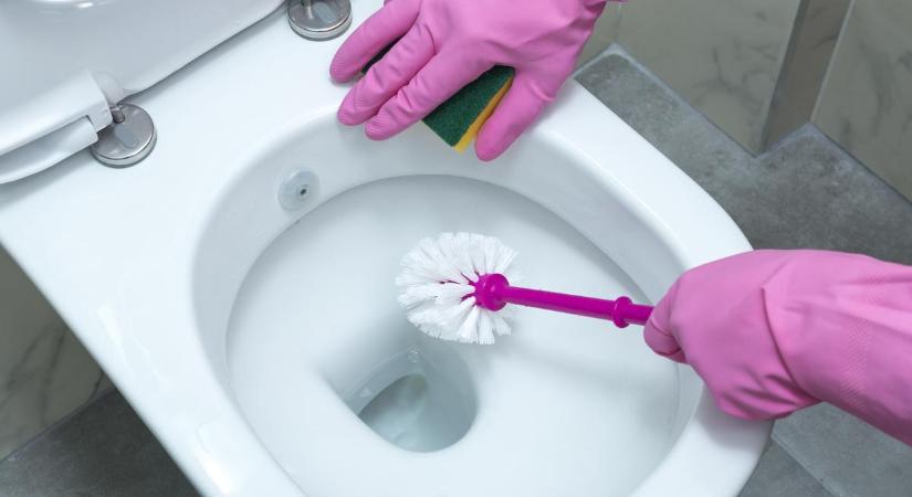 Megszólalt a szakértő: ez a legundorítóbb, amit el szoktak követni az emberek WC-tisztítás során
