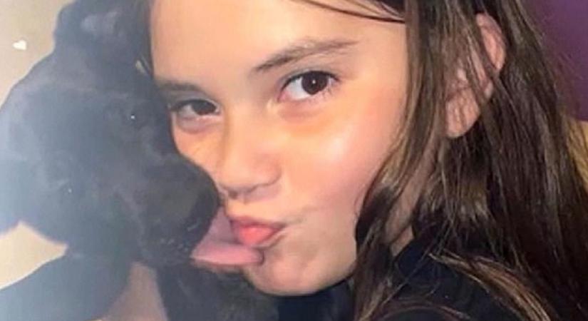 Életét veszítette egy 11 éves lány, mert megakarta menteni kiskutyát - Videó!