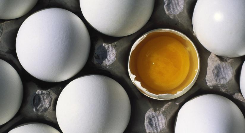 Meg szabad enni a lejárt tojást? Attól is függ, hogy tárolod