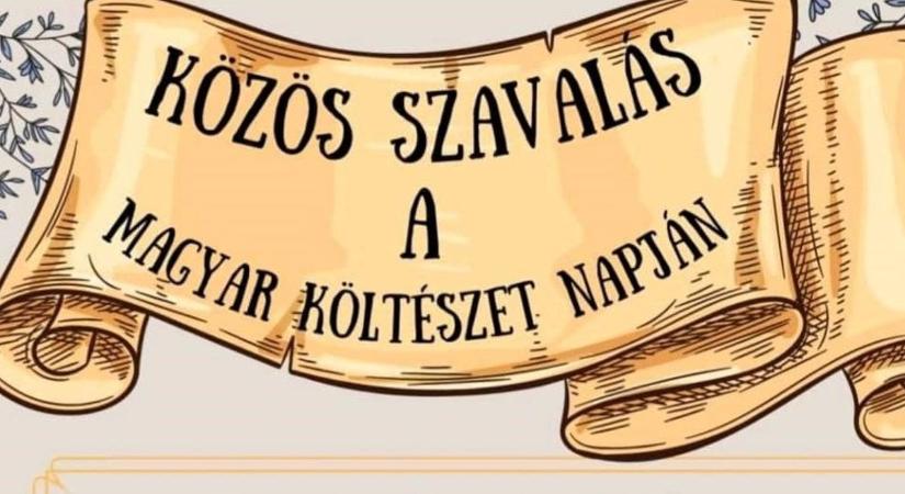 Közös szavalásra készülnek Polgárdiban a Magyar Költészet Napján