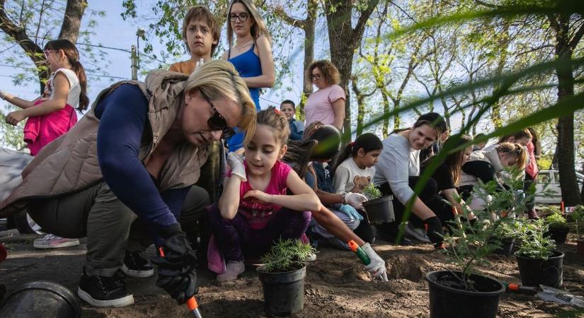 Folytatódik a városszépítés: gyönyörű virágokat ültettek el a kisiskolások a Csapókertben – fotókkal, videóval