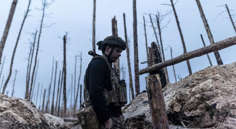 Felbecsülhetetlen és helyreállíthatatlan károkat szenvedtek az ukrán erdők