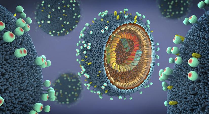 Áttörést hozhat az influenza kezelésében egy új hatóanyag