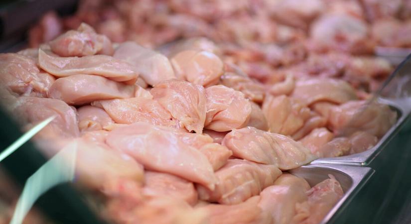 Fertőzött ukrán csirkehús okozott halált