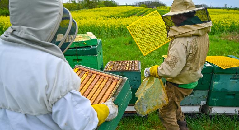 Döntött az Európai Parlament, megváltozik a méz, a lekvár és a gyümölcslevek címkéje