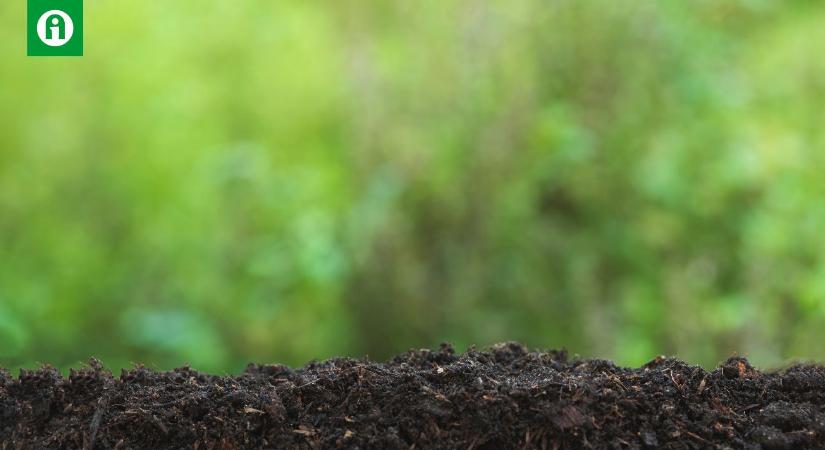 Teljeskörű talajfertőtlenítés: piretroid rovarölő granulátum