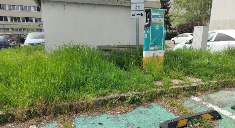 Szombathelyi belvárosi parkoló: Így zöldítünk mi?