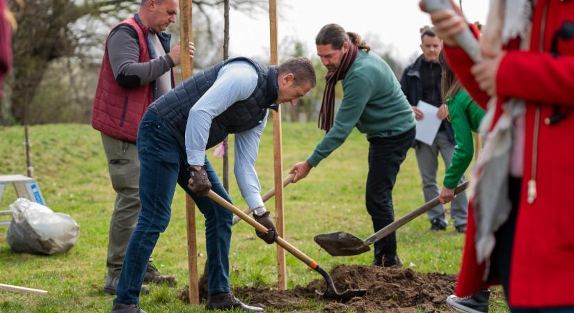 Civil Fórum: azok ültetnek ma fát Debrecenben, akik nyakunkra hozták ezt a szörnyűséget