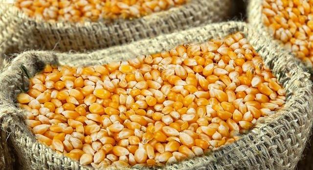 Megkezdődik a kukorica vetése Zala vármegyében