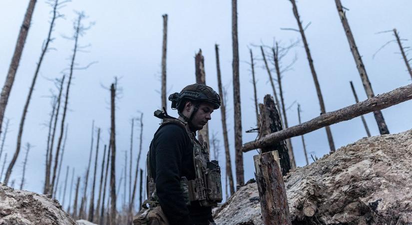 Óriáasi károkat szenvedtek az ukrán erdők