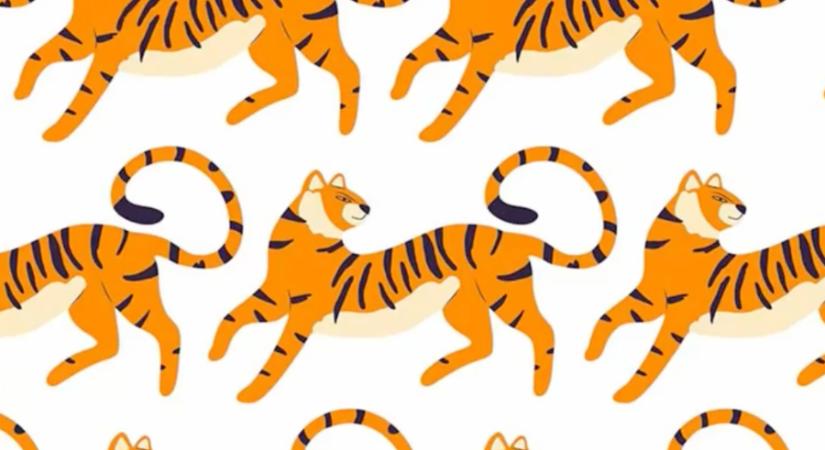 Megtalálod, melyik tigris a kakukktojás? Akkor átlag feletti az IQ-d