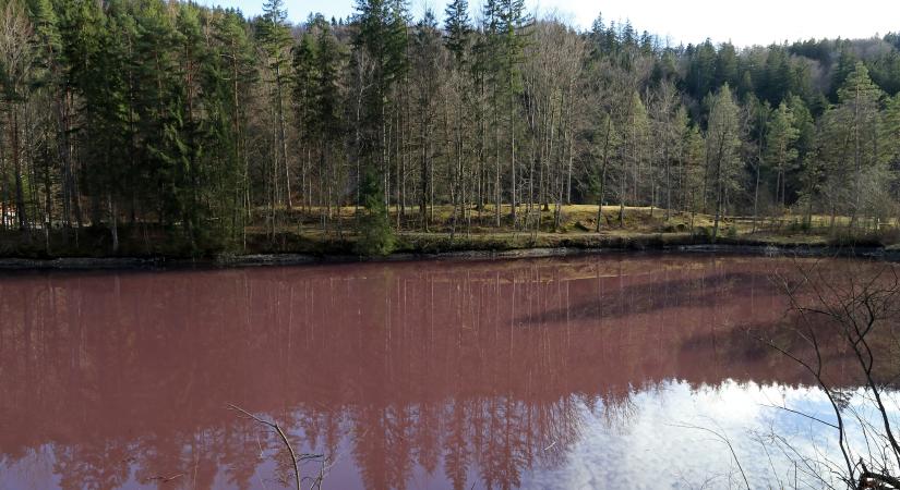 Lilára változott a határmenti tó vize, új óvintézkedéseket hoztak Németországban