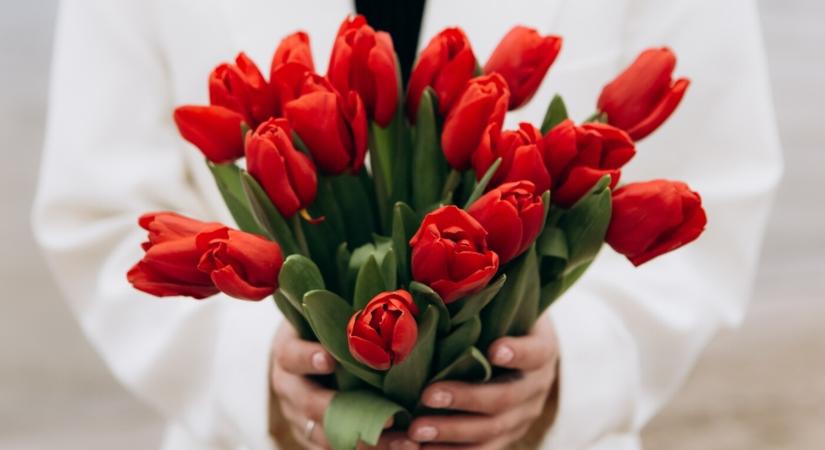 Tulipános felvonulást rendeznek Léván a Parkinson-kór világnapjának alkalmából