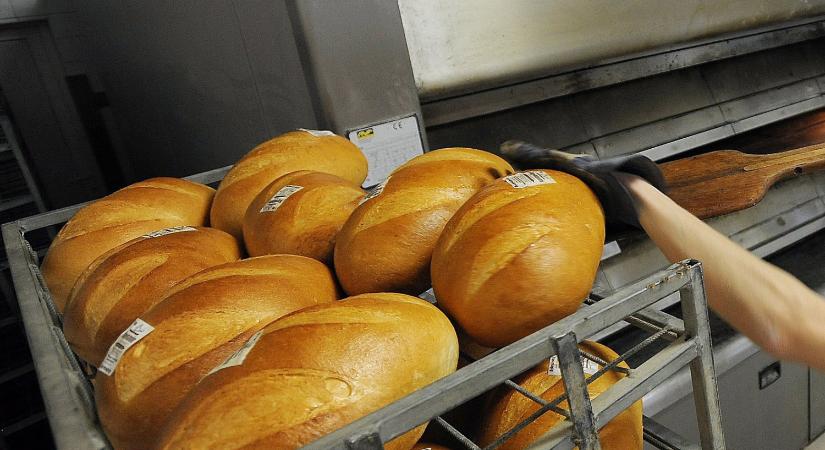 Miért ennyire drága a magyar kenyér?