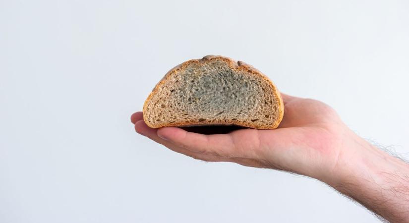 Penészes lett a kenyér? Súlyos rohamot is kaphat, ha elfogyasztja