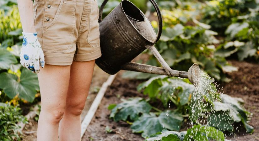 Ismerkedj meg néhány kertészkedéssel kapcsolatos angol kifejezéssel