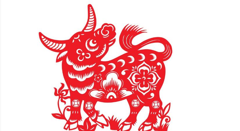 Kínai horoszkóp-előrejelzés májusra a Bivalyoknak: szenvedélyes szerelem jön, majd kisebb pénzügyi nehézség, amit fizetésemelés vagy jobb állás oldhat meg