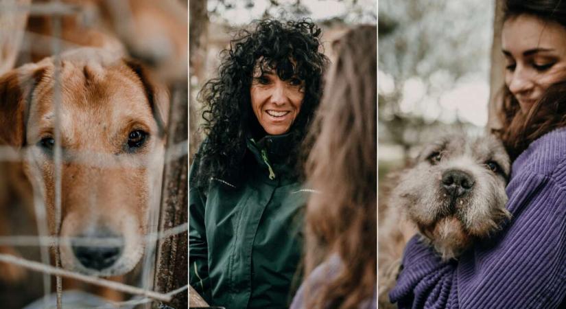 „Számomra az nem kutyatartás, ha az állat az udvaron, a családi életből kiszorítva él” – Boncz Edit és a Kutyatár története