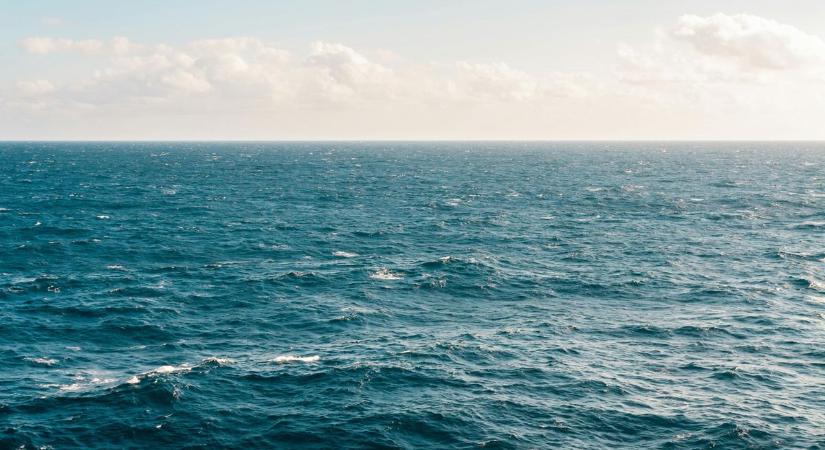 A kutatók is elsápadtak attól, ami az óceán mélyéről előkerült