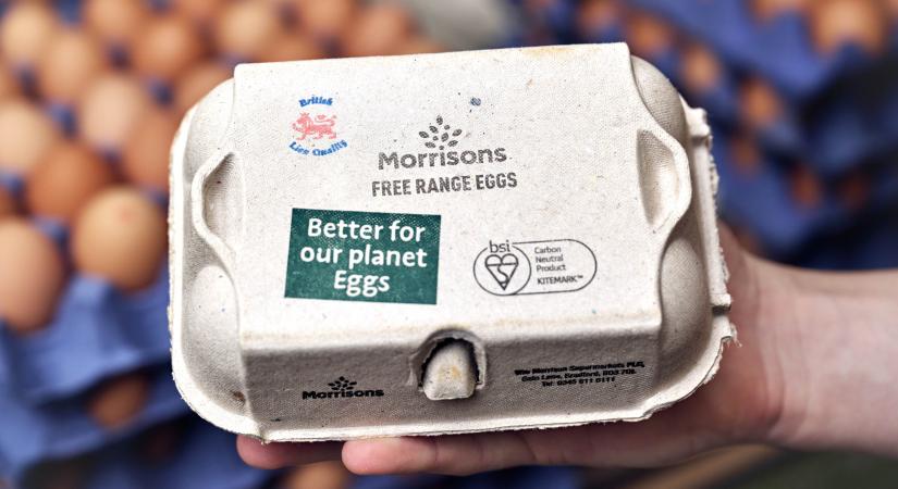 Karbonsemleges tojás Angliában
