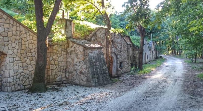 Budapest mellett bújik meg a gyönyörű falu, mégsem felkapott: Páty környéke mesébe illik