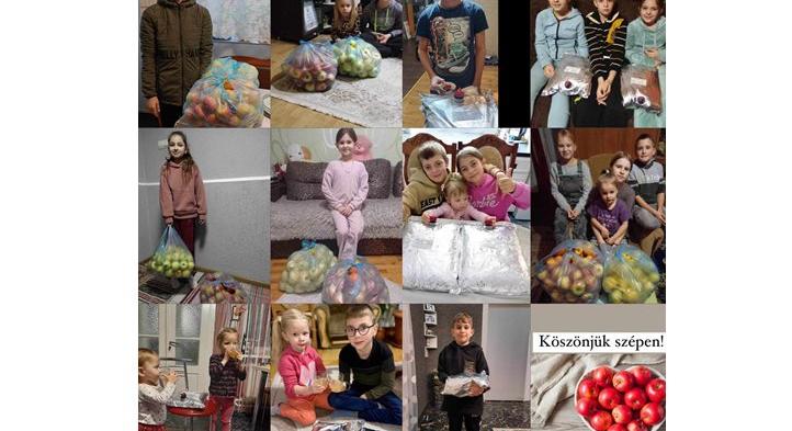 Alma és almalé a KMNE tagcsaládjainak - Egészséges adventi ajándék
