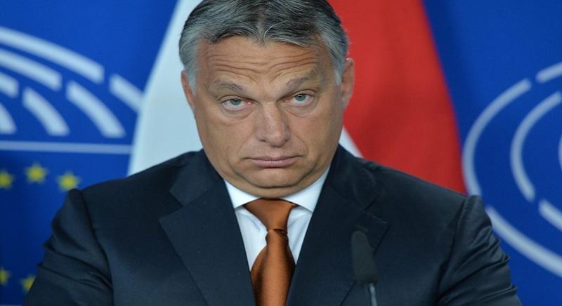 Orbán Viktor hagymát válogatott, Németh Szilárd krumplit szedett