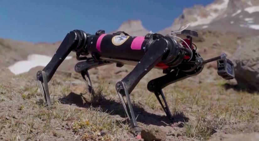 A NASA már képzi azt a robotkutyát, ami a Holdon fog járkálni