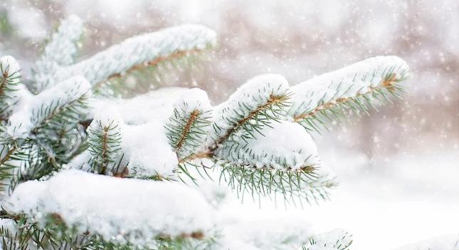 Mit hoz december időjárása: fagyokat vagy jótékony hótakarót, netán fehér karácsonyt?