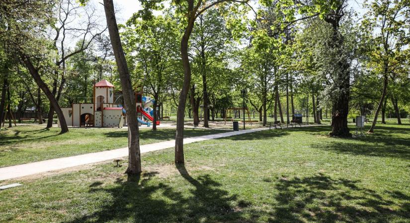 Lélekfát ültet elhunyt kedvese emlékére Szabolcs a szolnoki Ormos Imre parkban